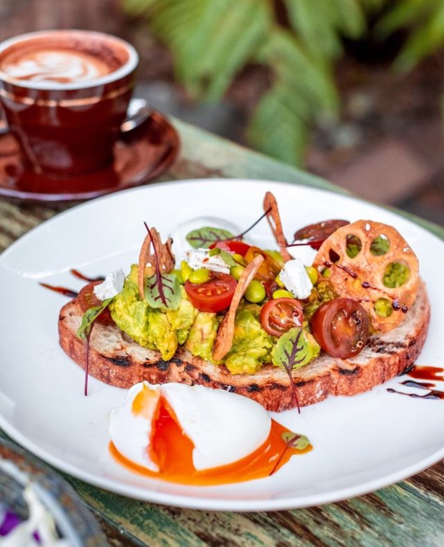 Nothing beats a classic SMASHED AVO! Of course, we've got a variation of this breakfast classic at both #FirestoneHornsby and #FirestoneTheRocks avo 🥑🥑🥑⁠
⁠
⁠
⁠
⁠
⁠
#breakfastinsydney #sydneyfoodguide #sydneyfoodporn #sydneyfoodies #sydneyfoodshare