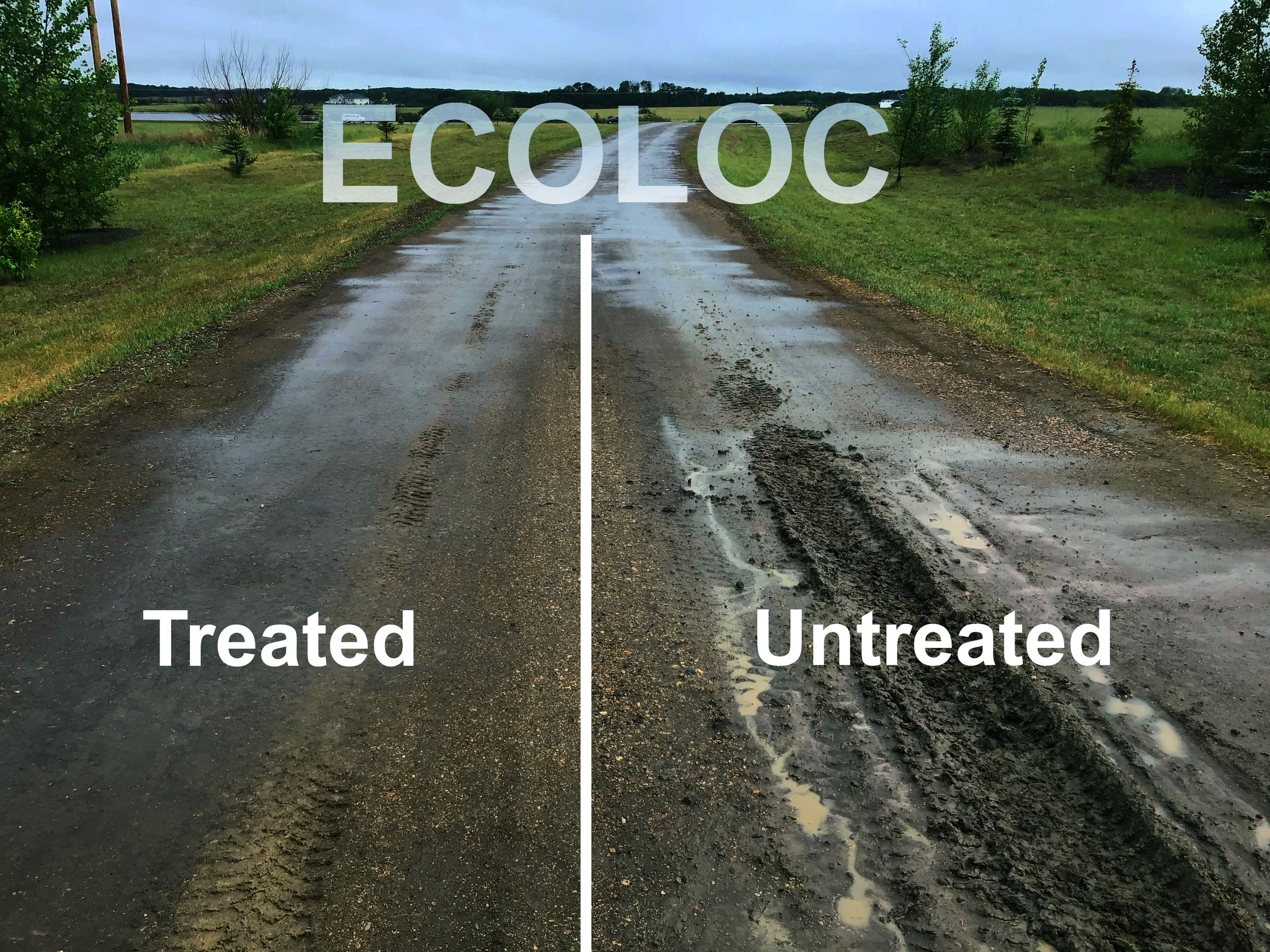 ecoloc driveway with and without treatment.png