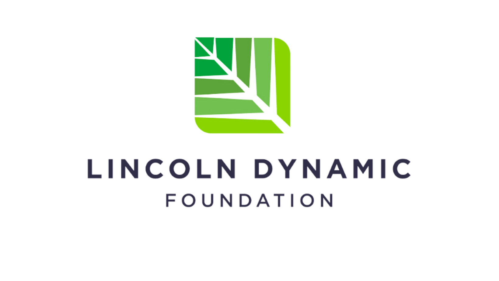 Lincoln Dynamic Foundation