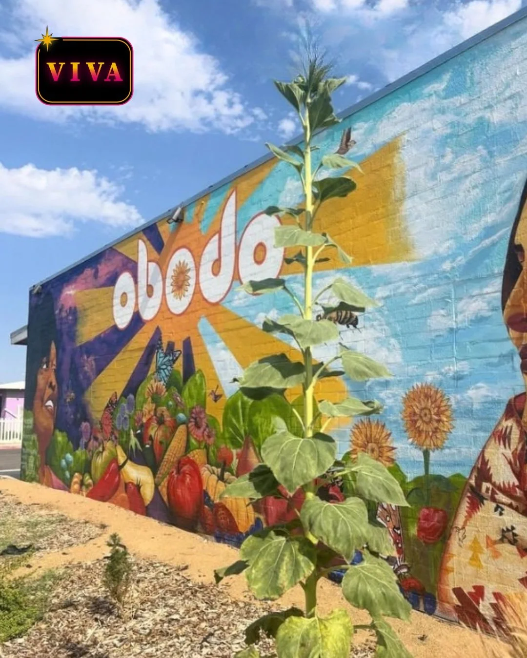 What if access to fresh, affordable food was something every neighborhood could count on?

That's the work Obodo Collective is doing.

Through its urban farm and community-centered Green Grocer in Las Vegas's Historic Westside, Obodo is working to ma