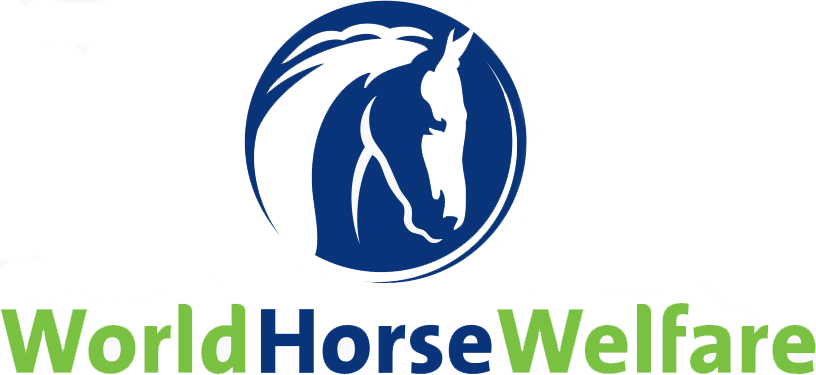 World Horse Welfare