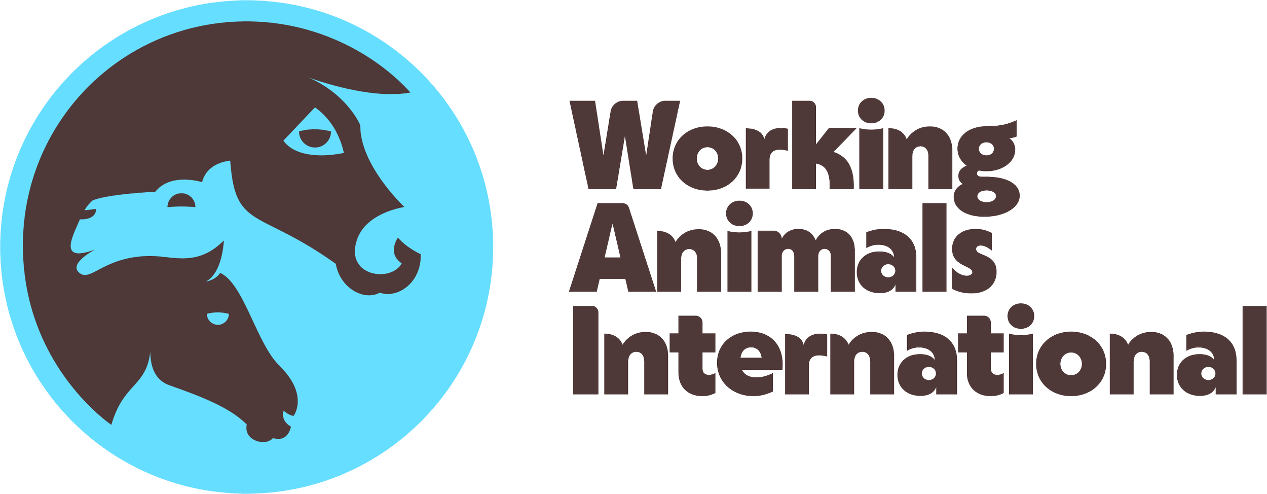 WAI_Logo_Horizontal_EarthText_RGB.png