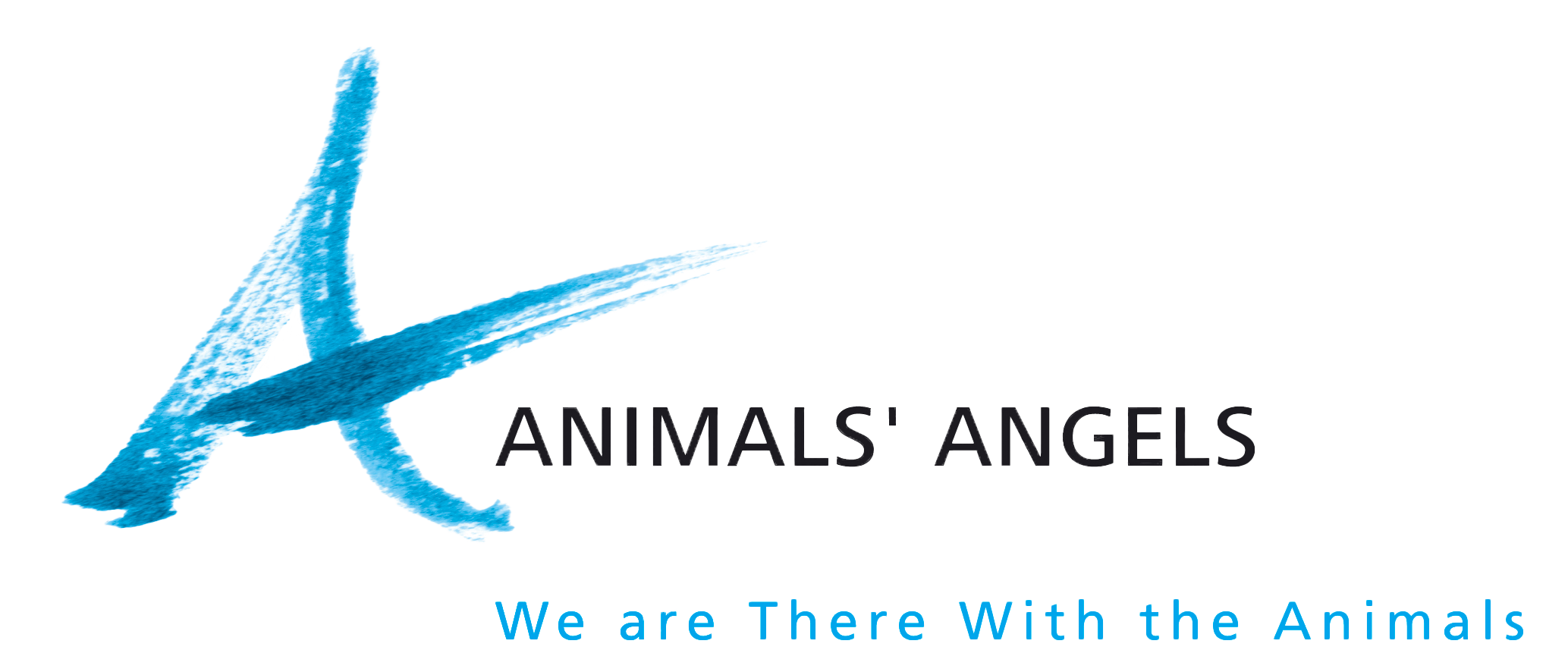 AA-Logo-Claim_EN_freigestellt_2.png