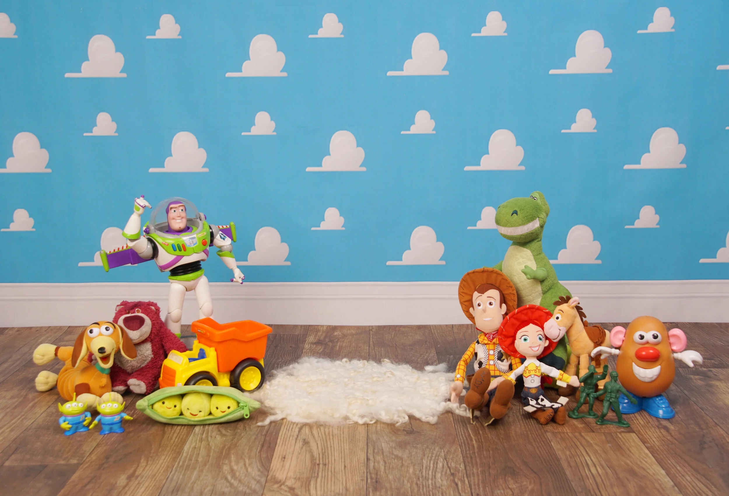 Toy Story Digital Art (Sitter)
