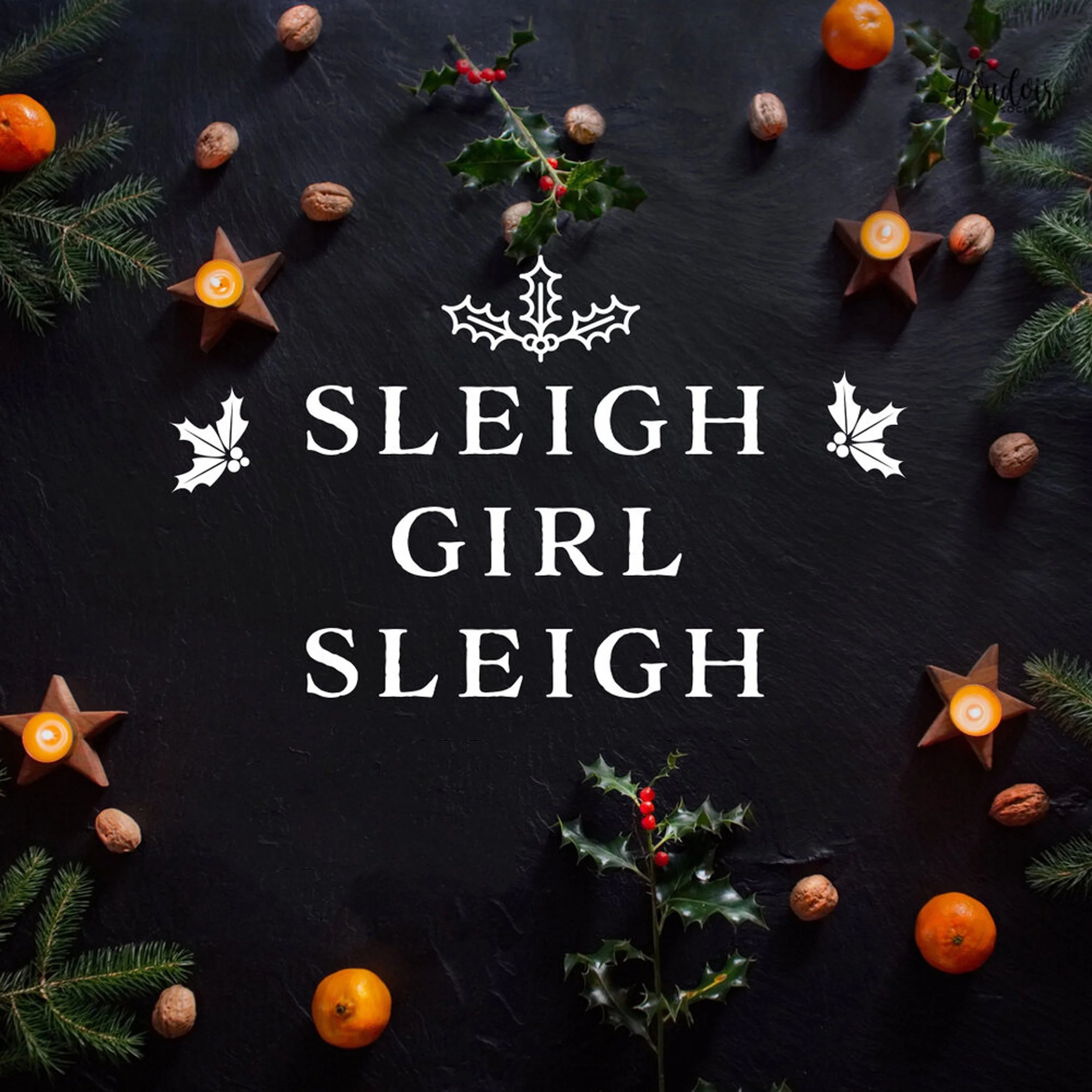 sleigh.jpg