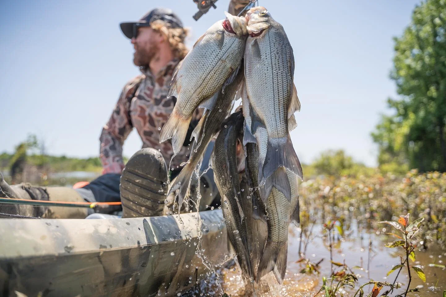 A heavy stringer is a good stringer. &bull; &bull;
&bull;
&bull;
@bartonoutfitters @littleqranch @mallardmedia  #lacrossefootwear #mallardmedia #sitkagear #yeti #duckseason #ducks #mallards #duckseason #outdoorphotography #mallardducks #fishing #crap