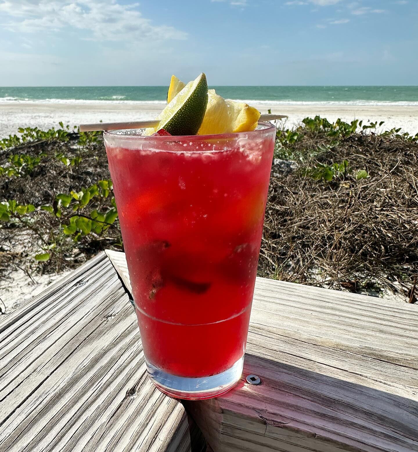 🌺 Ever heard of Roselle, aka the Florida Hibiscus? We proudly grow it fresh at Our #Organic Farm @gamblecreekfarms! 🌿 Did you know Roselle has deep roots in our state, dating back to early settlers&rsquo; homesteads? 

This resilient plant thrives 