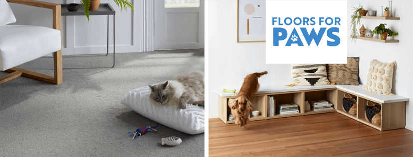 Floors for PAWS_pets.png