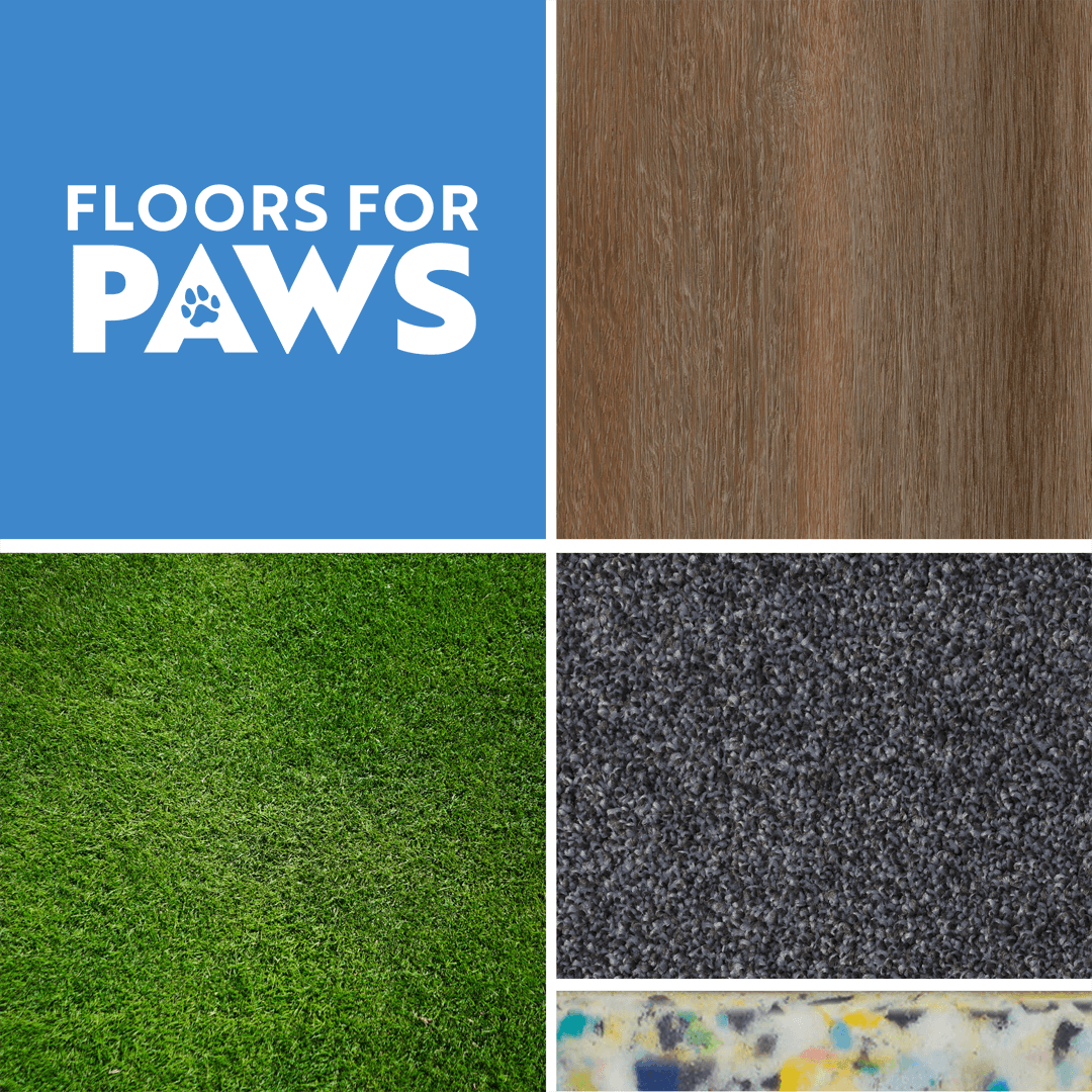 Floors for PAWS.png