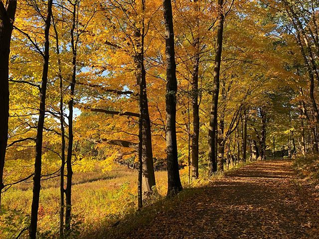 #Fallhikes