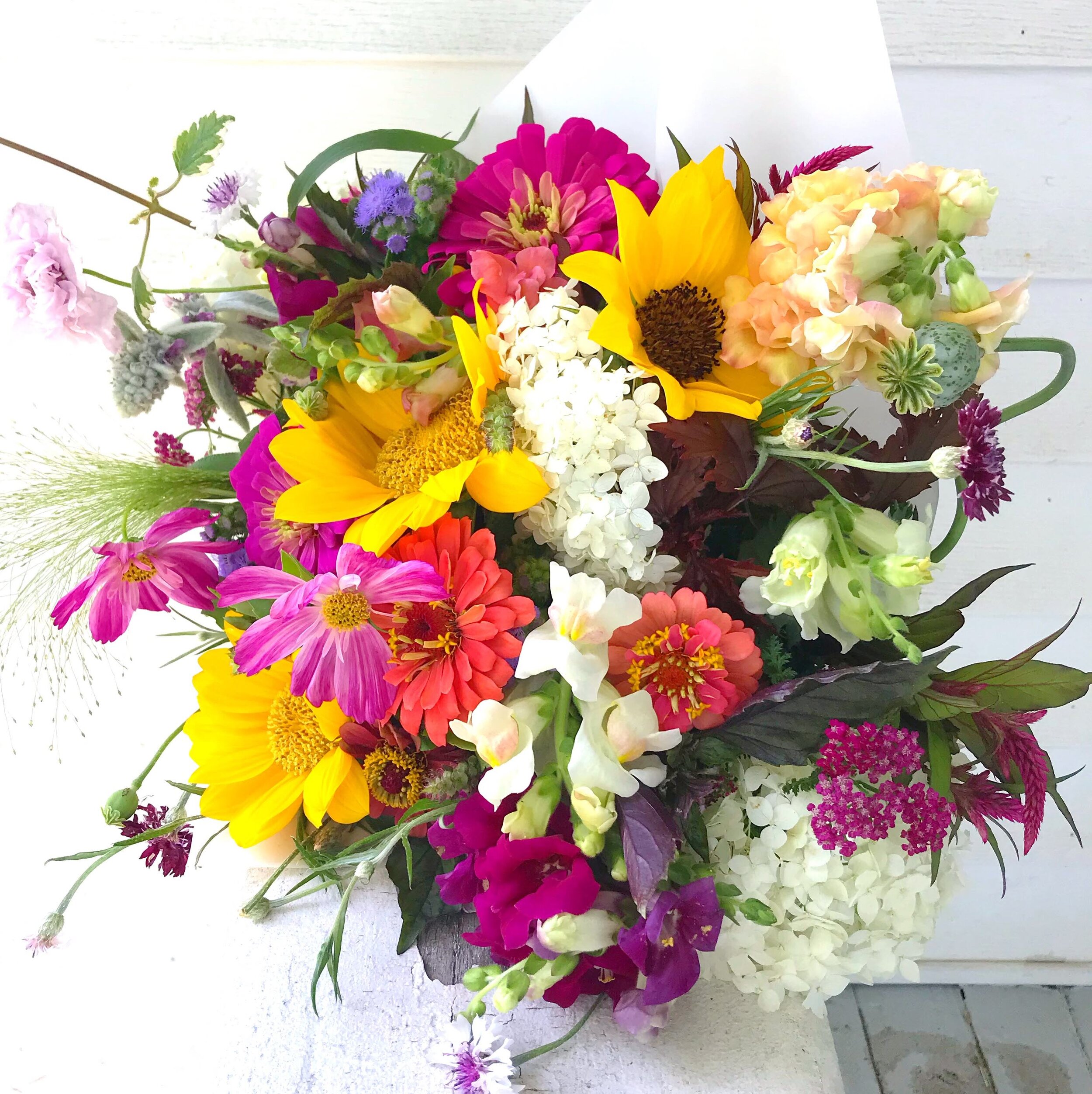 Find Our Flowers Bel Fiore Farm Floral