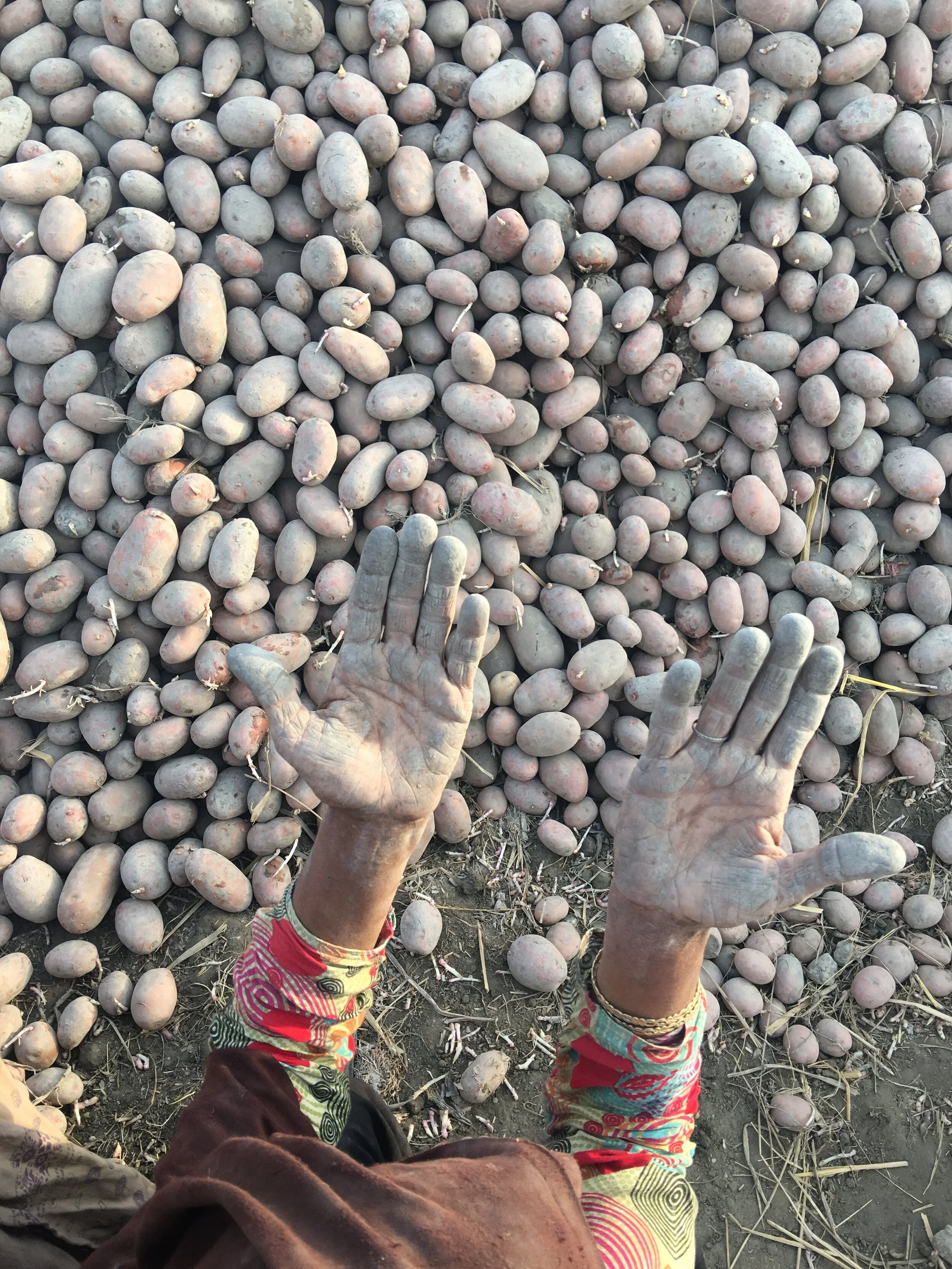 Life after death: Why capital punishment does not work in Pakistan