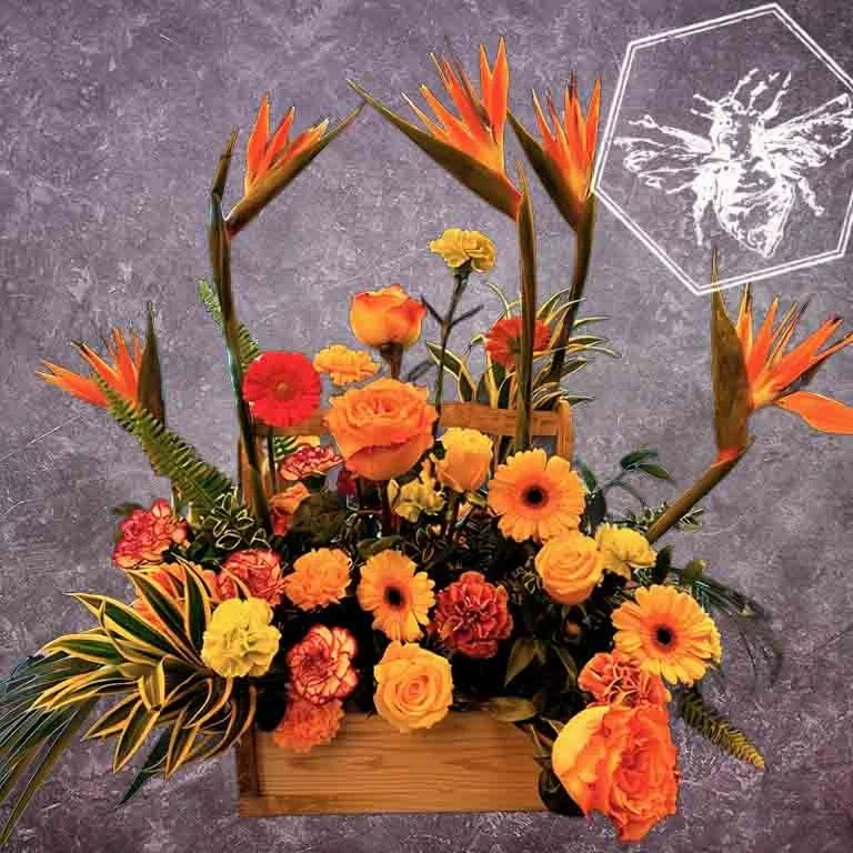 Birds of Paradise From 111.00