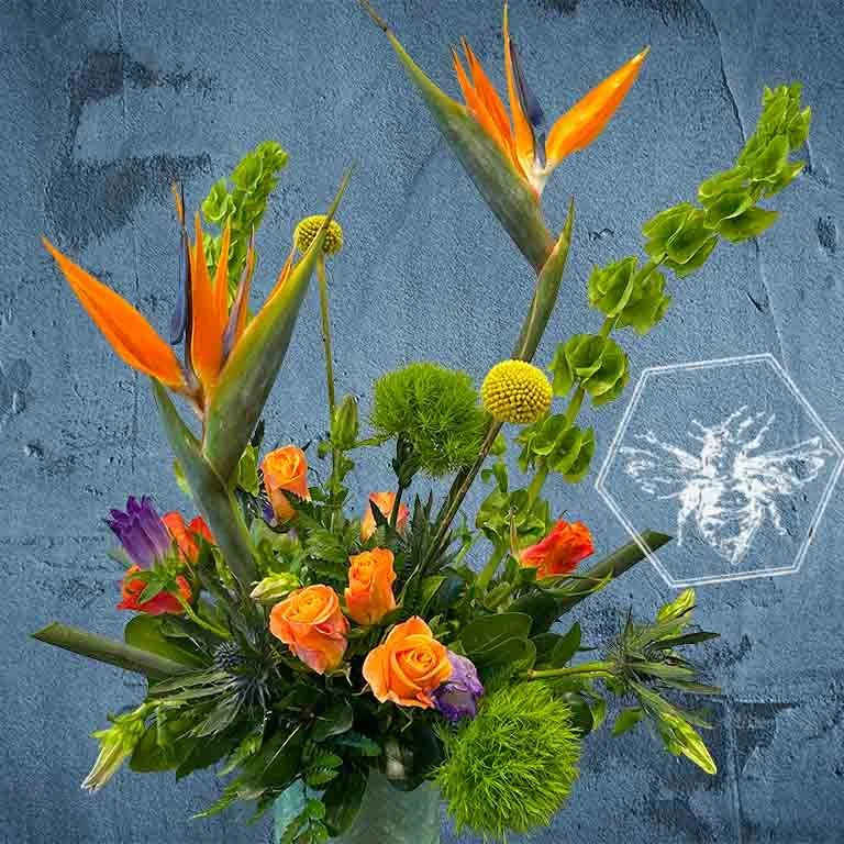 The Birds and the Bees