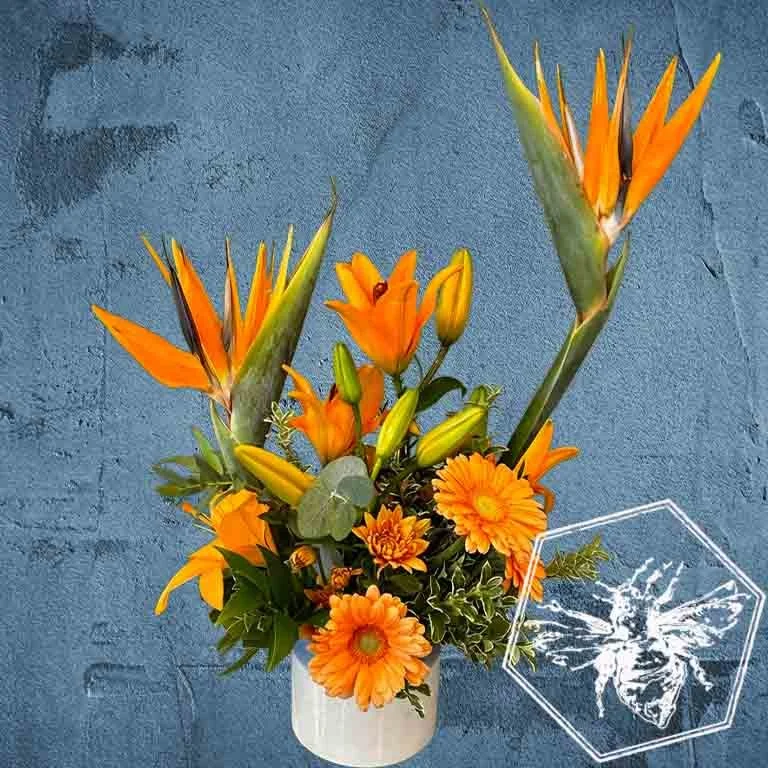 Two Bird Gerb Gerber Birder