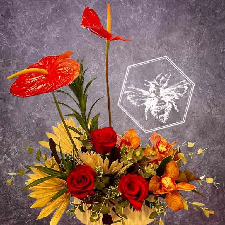 Anthurium Rose Special