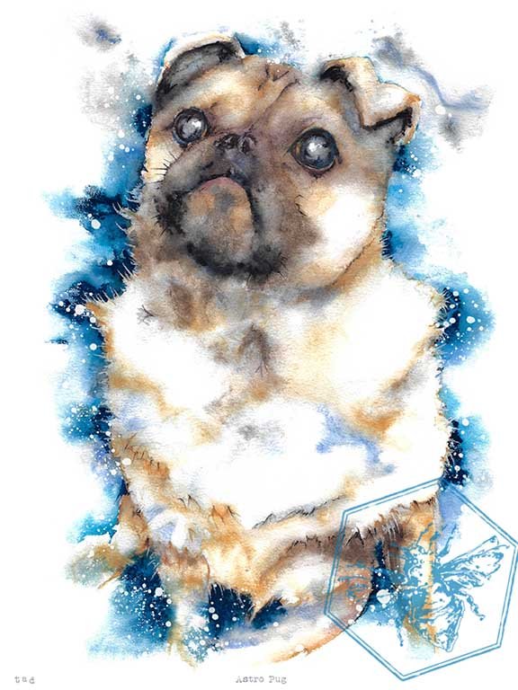 Astro pug print 72 ppi.jpg