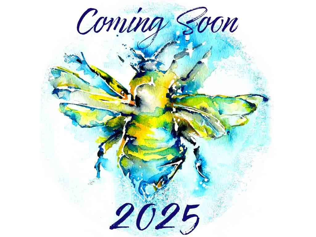 Book 3 From The B Nest Studios