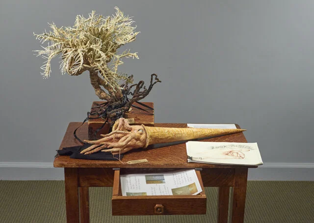 Lorenzo De Los Angeles; Fossils in the Indiana limestone Walls of the Frick Art Reference Library (Thank you to Carl M. Mehling, Fossil Amphibian, Reptile and Bird Collections, Division of Paleontology at the American Museum of Natural History for p…