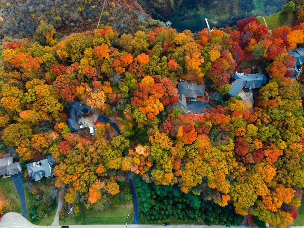 DJI_0067.jpg