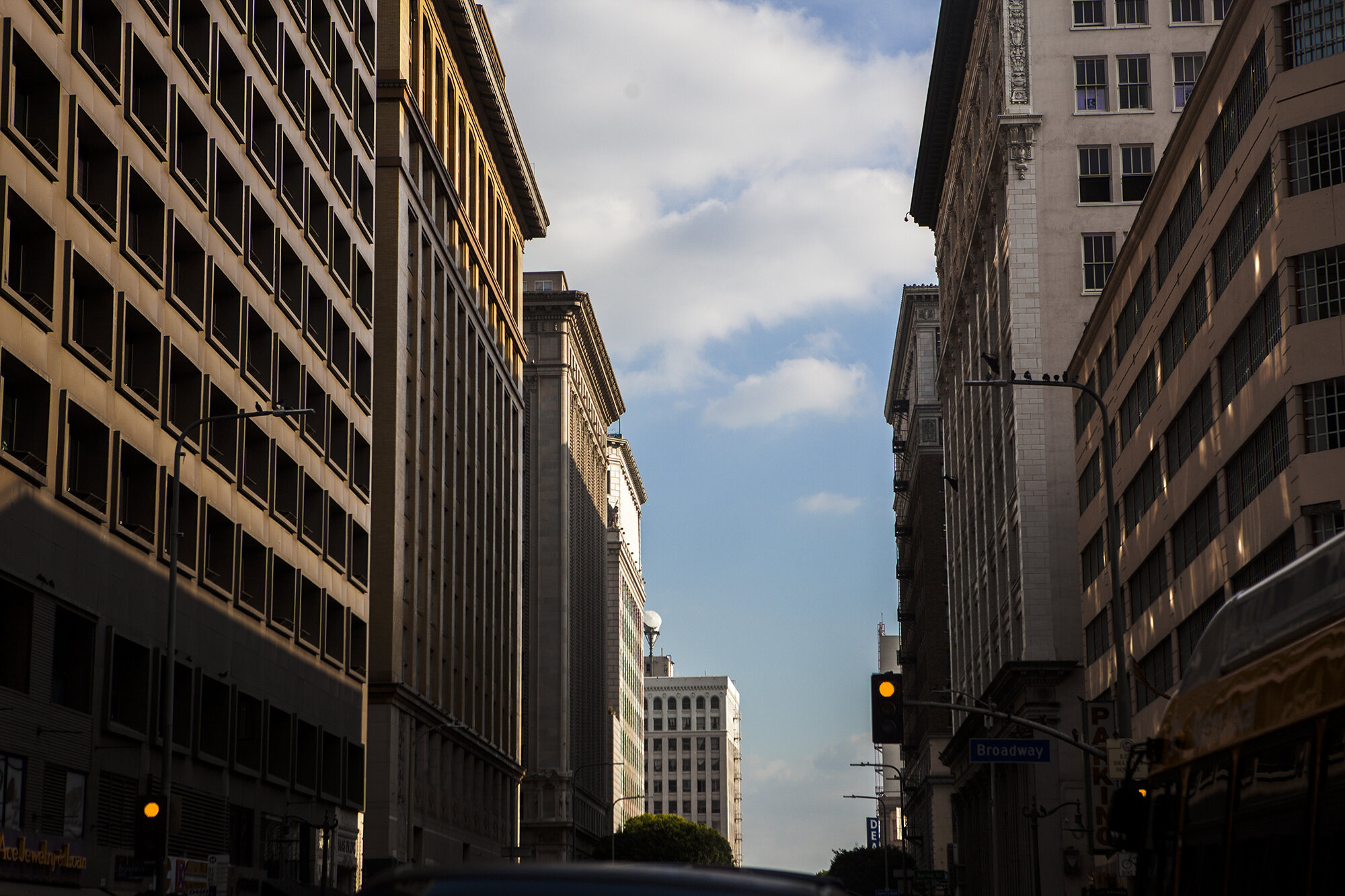 DTLA Architecture.jpg