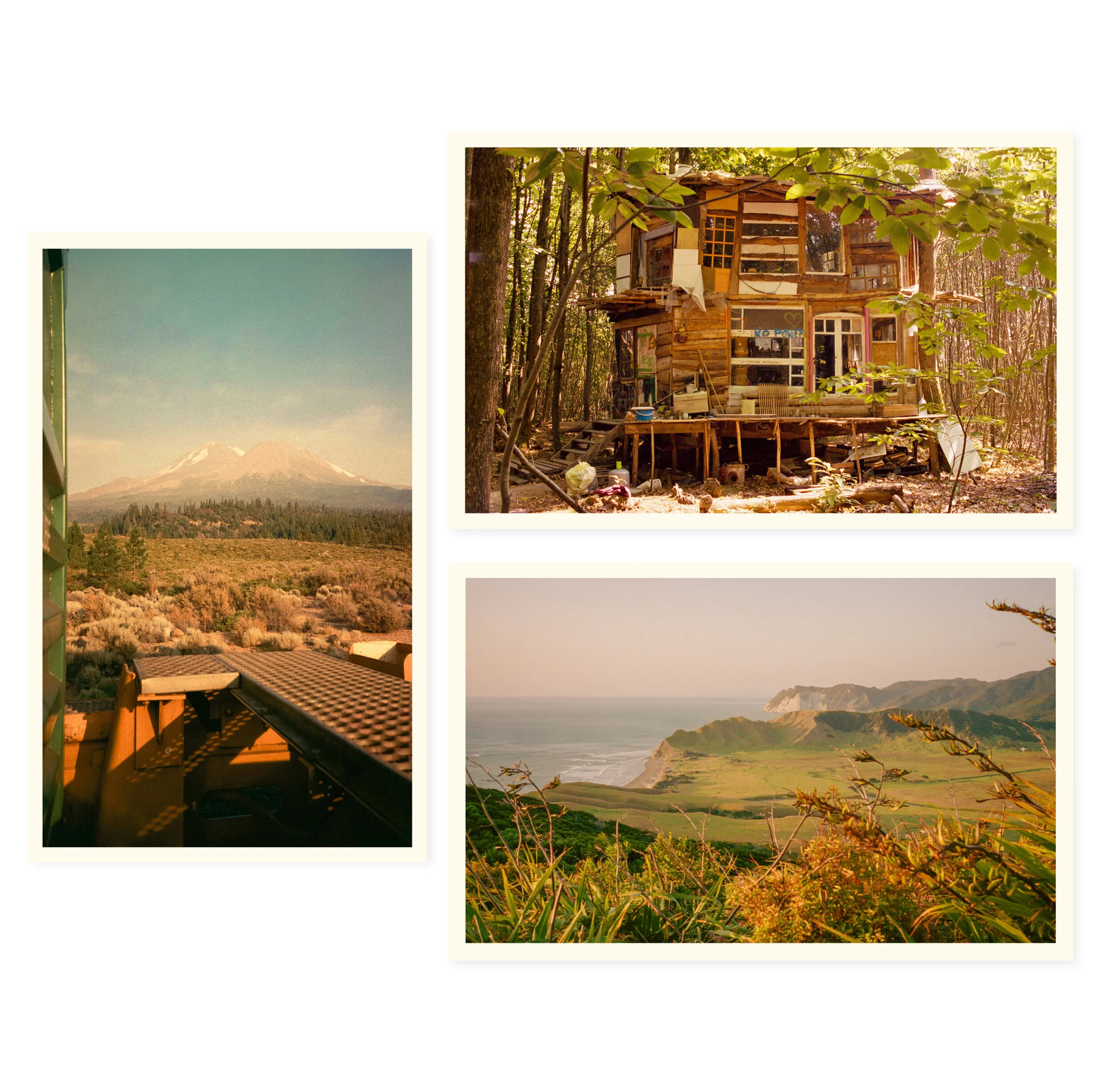 Molly Steele Photography3.jpg