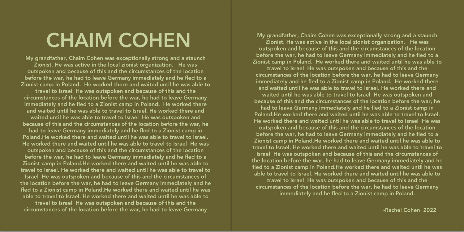 Story of Chaim Cohen fighting for Israeli independence