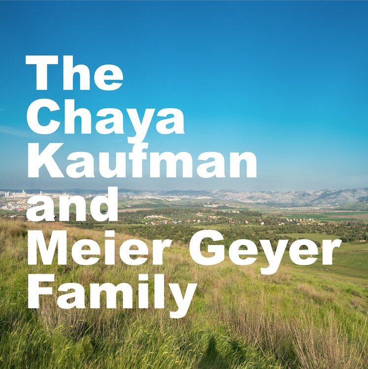 Title page of Chaya Kaufman, Meier Geyer Family Tree Book, Lake Kinnereth, Israel.
