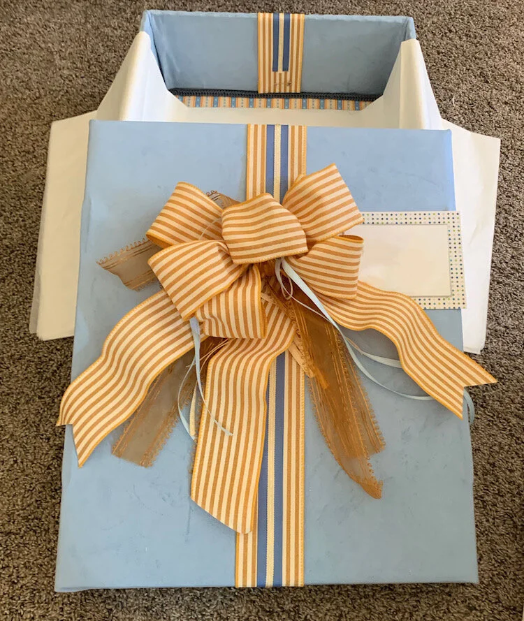 Exact colors and styles vary