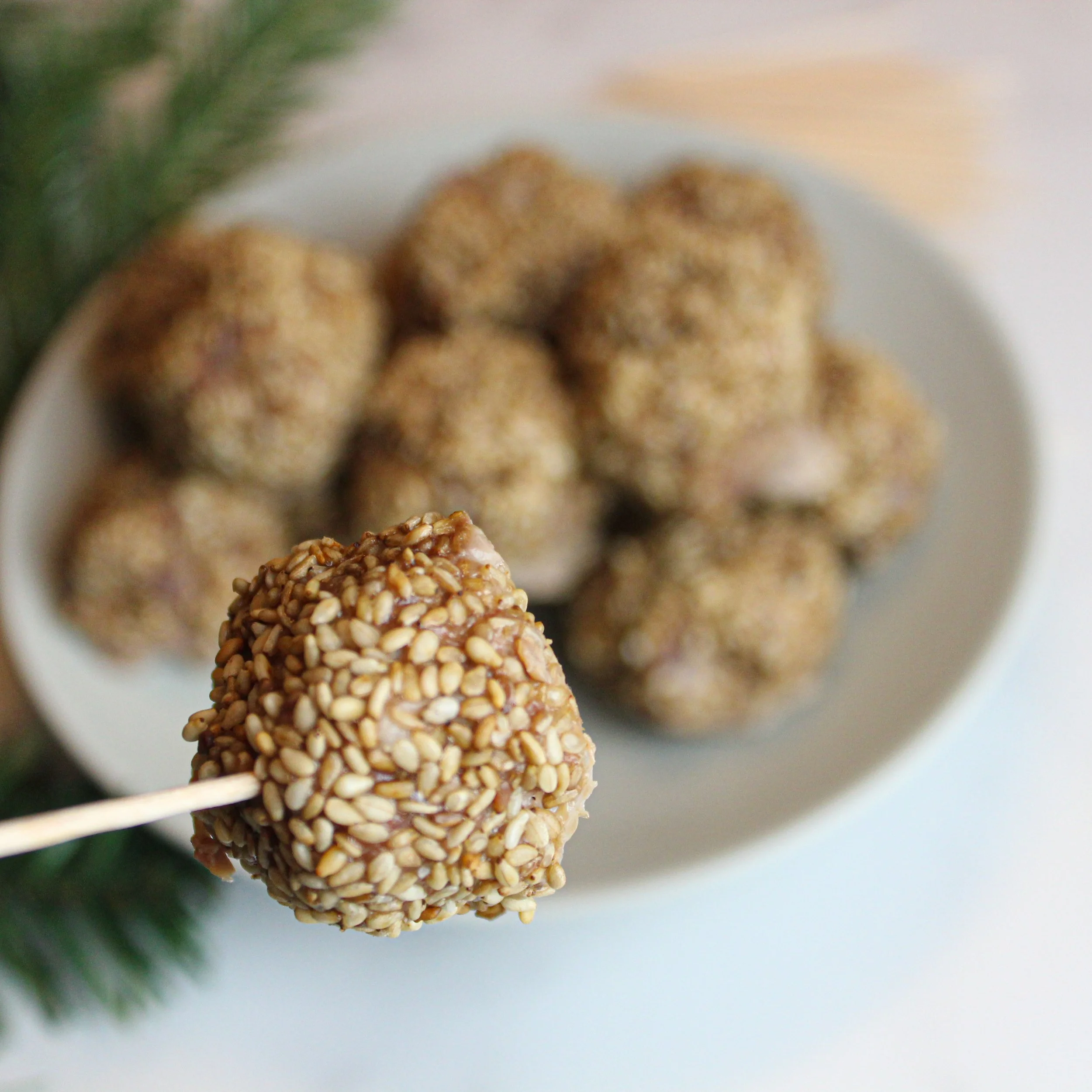Sesame Seed Meatballs PrimaFoodie