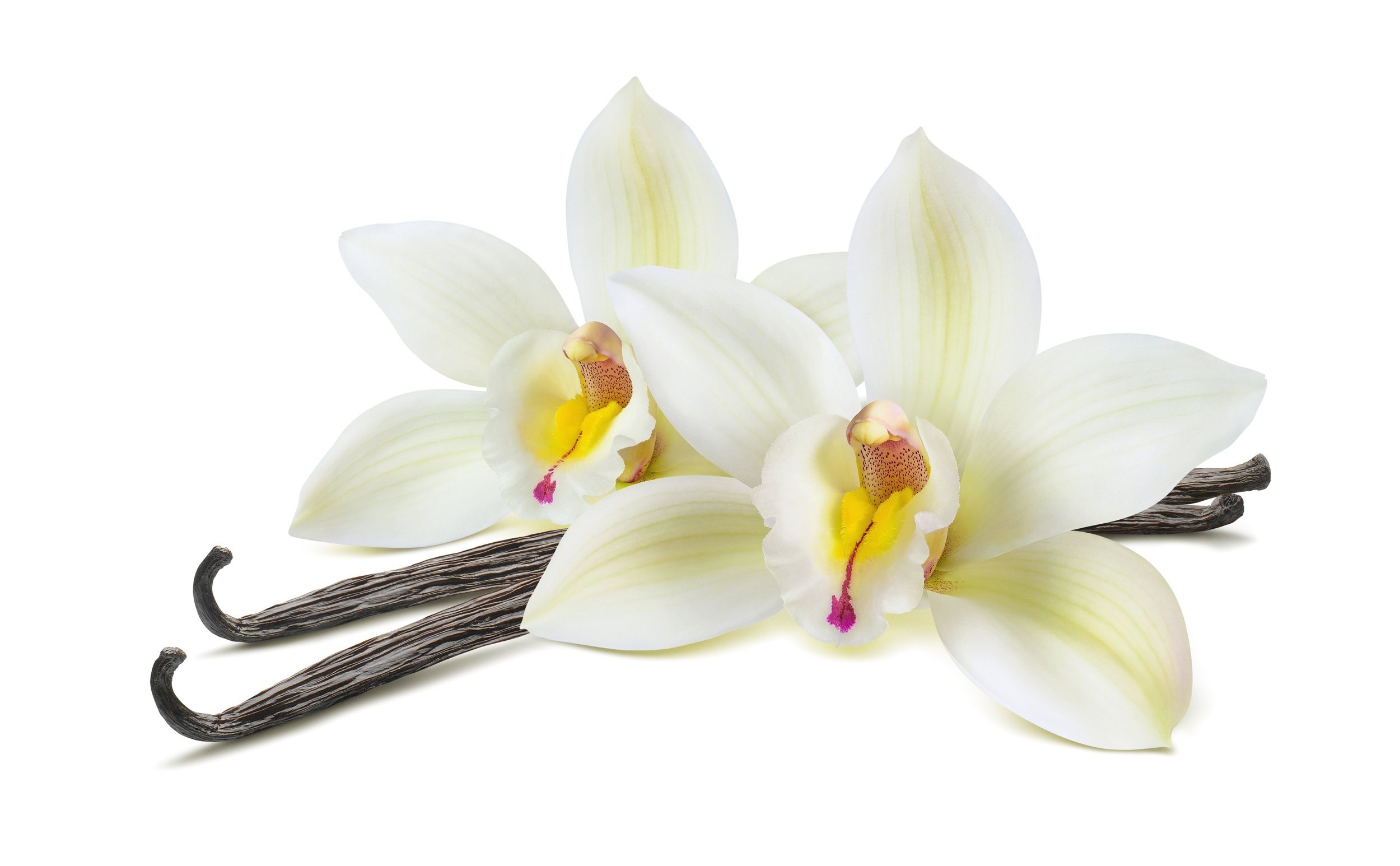 Vanilla