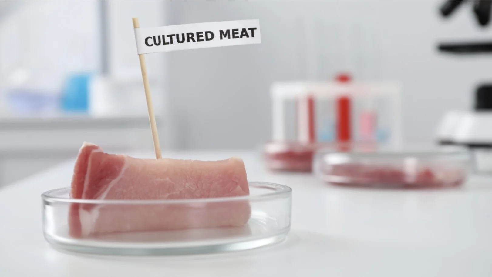 Lab-Grown Chicken Is Legal—and It’s Coming to Restaurants. Here’s What to Know