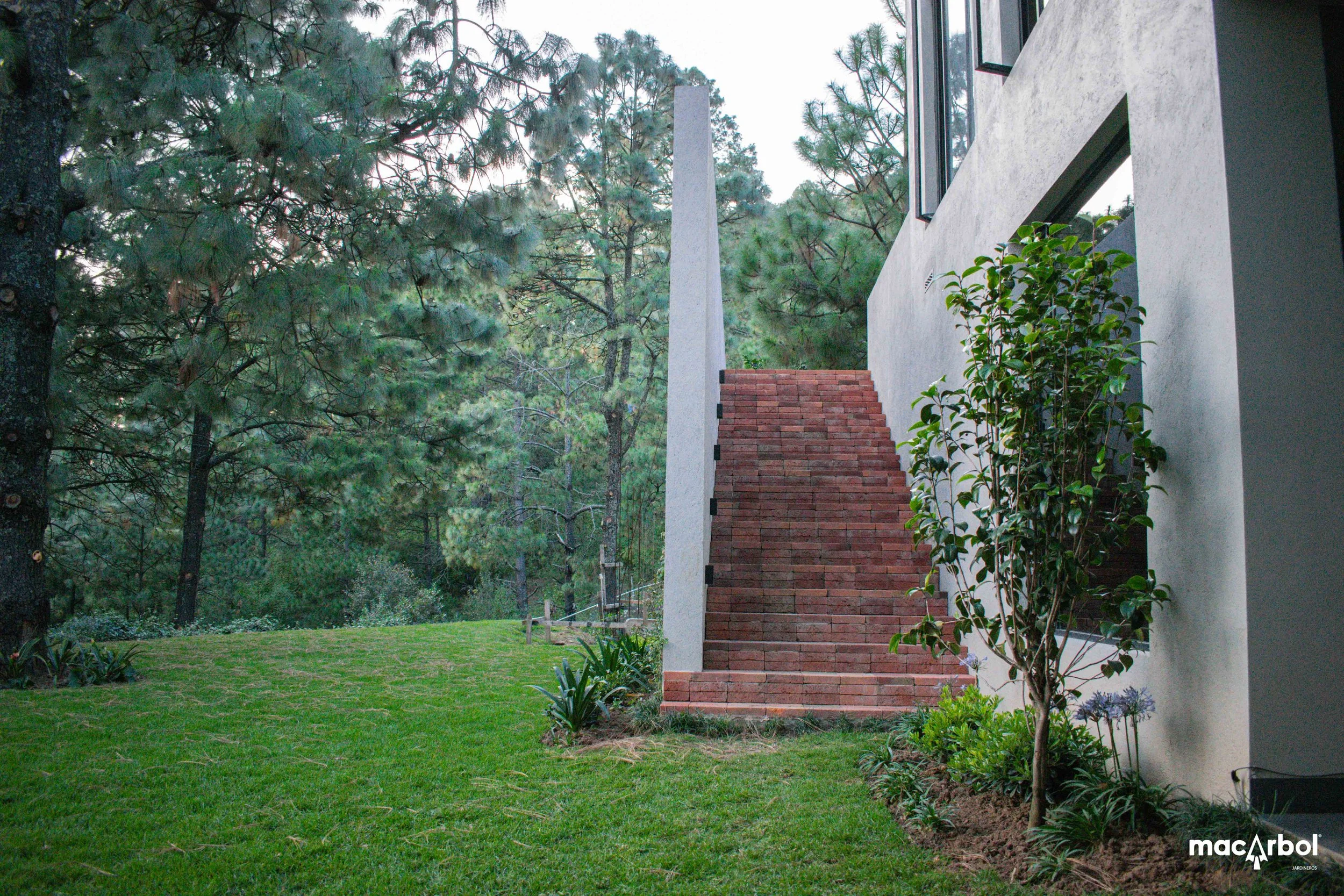 Ocote-14.jpg