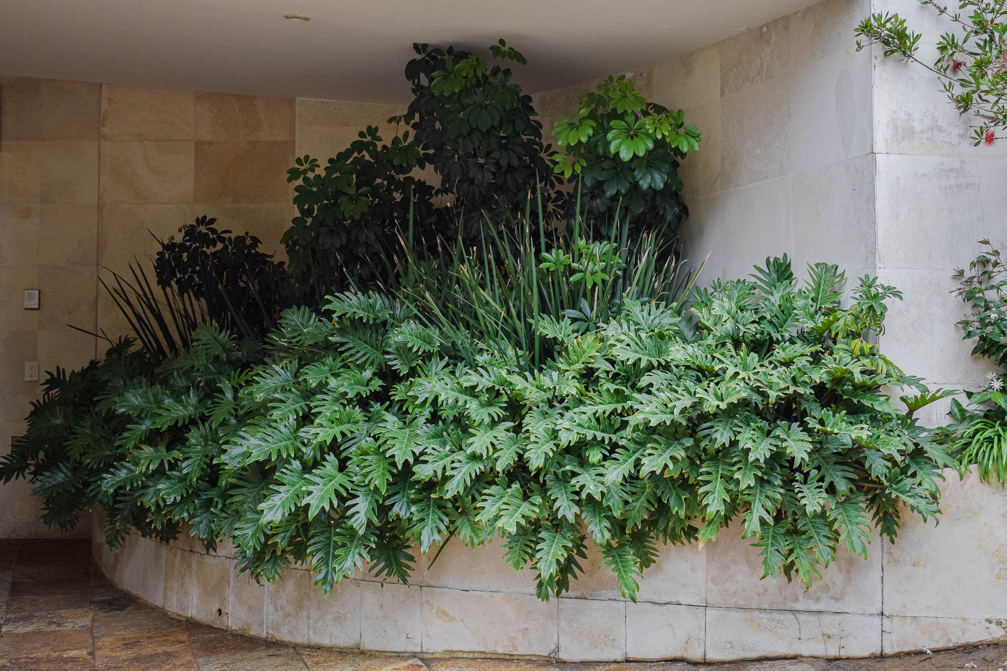 Lomas Altas-37.jpg