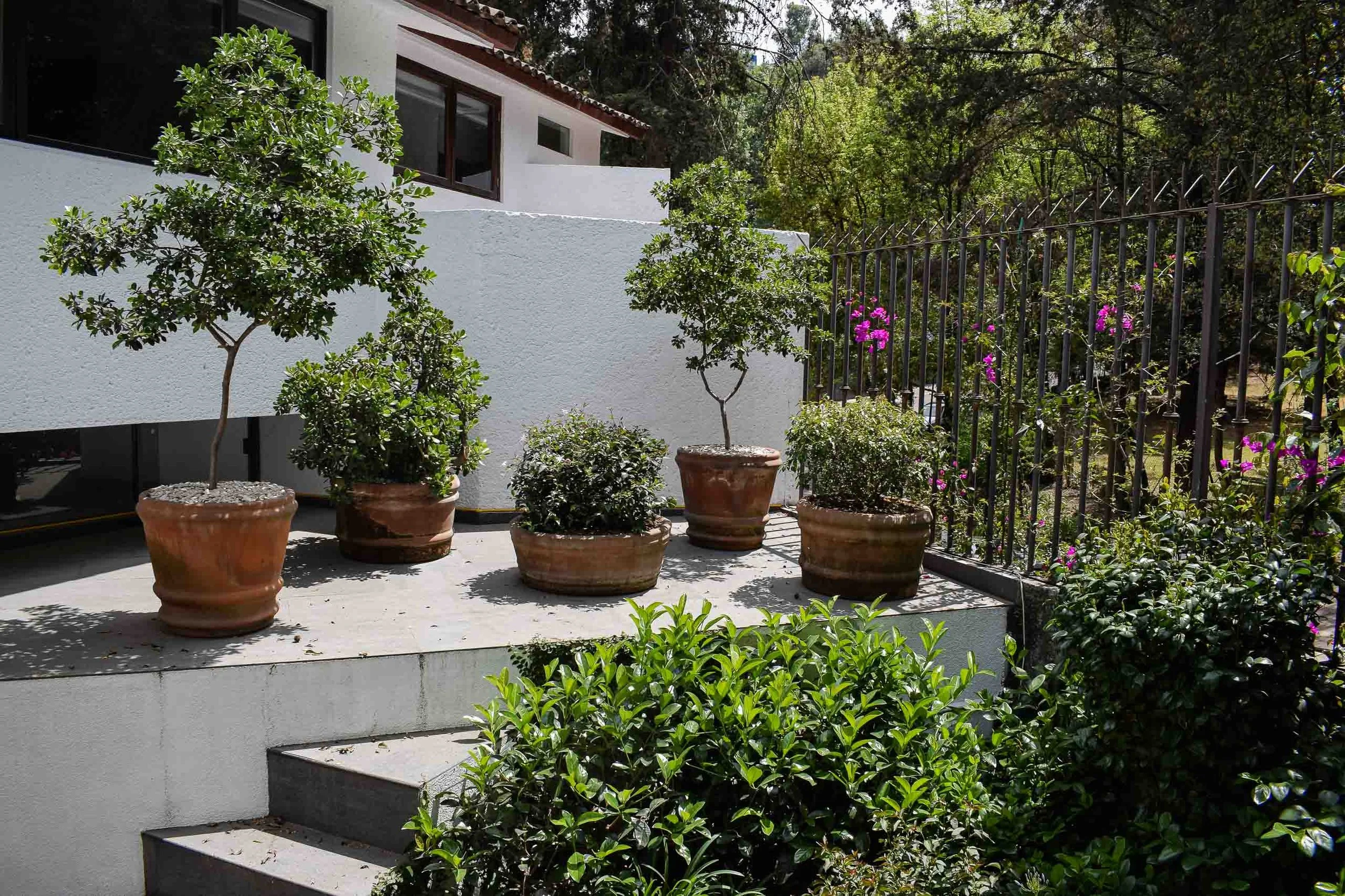 Real de las Lomas-6.jpg