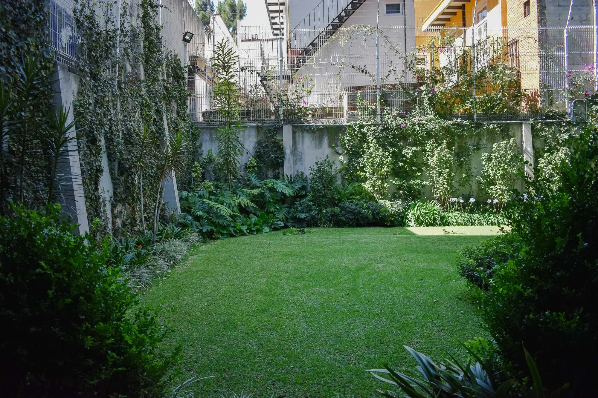 Jalapa-34.jpg