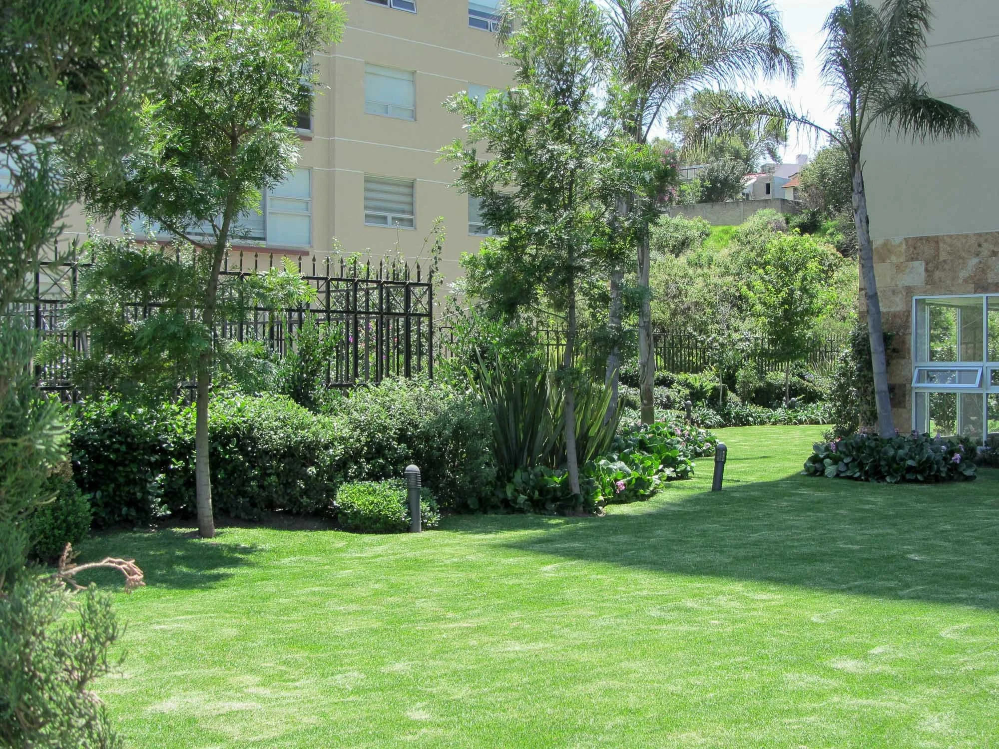 Bosque de lomas verdes-14.jpg