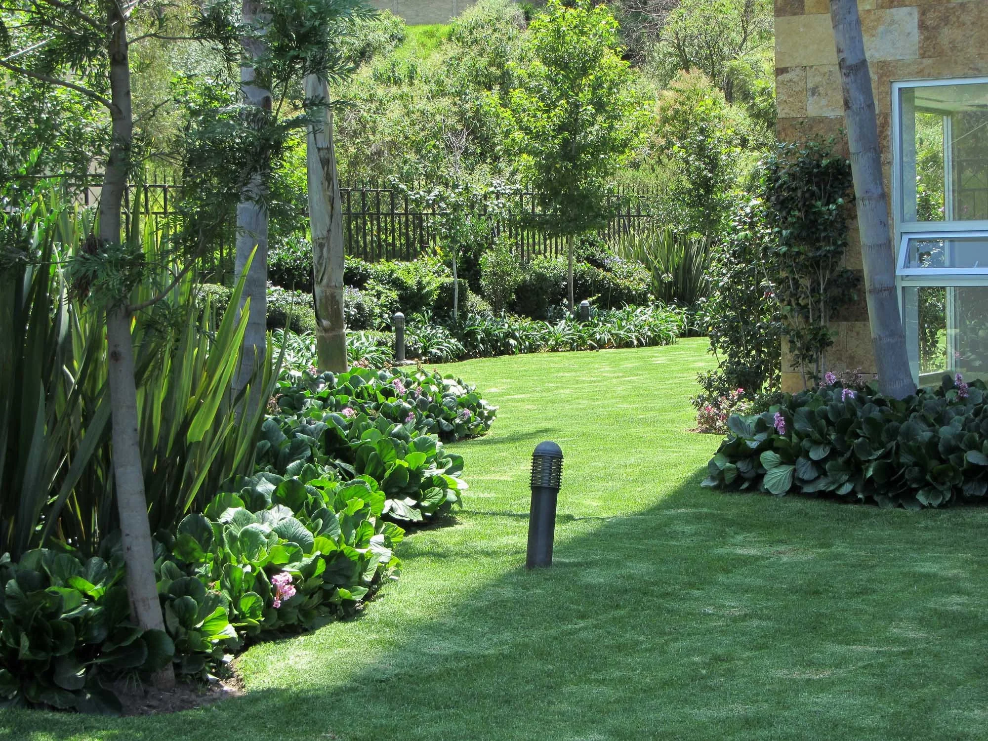 Bosque de lomas verdes-15.jpg