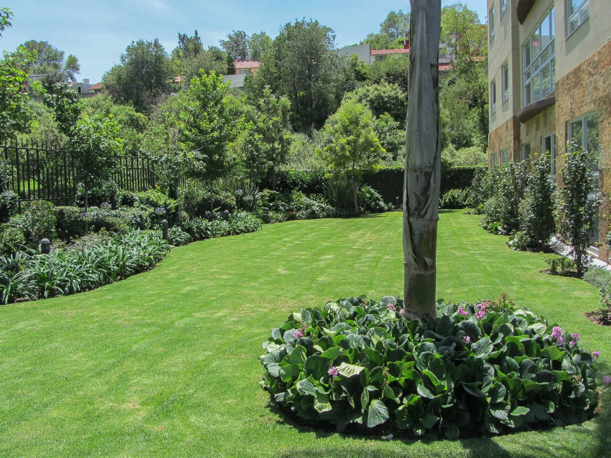 Bosque de lomas verdes-16.jpg