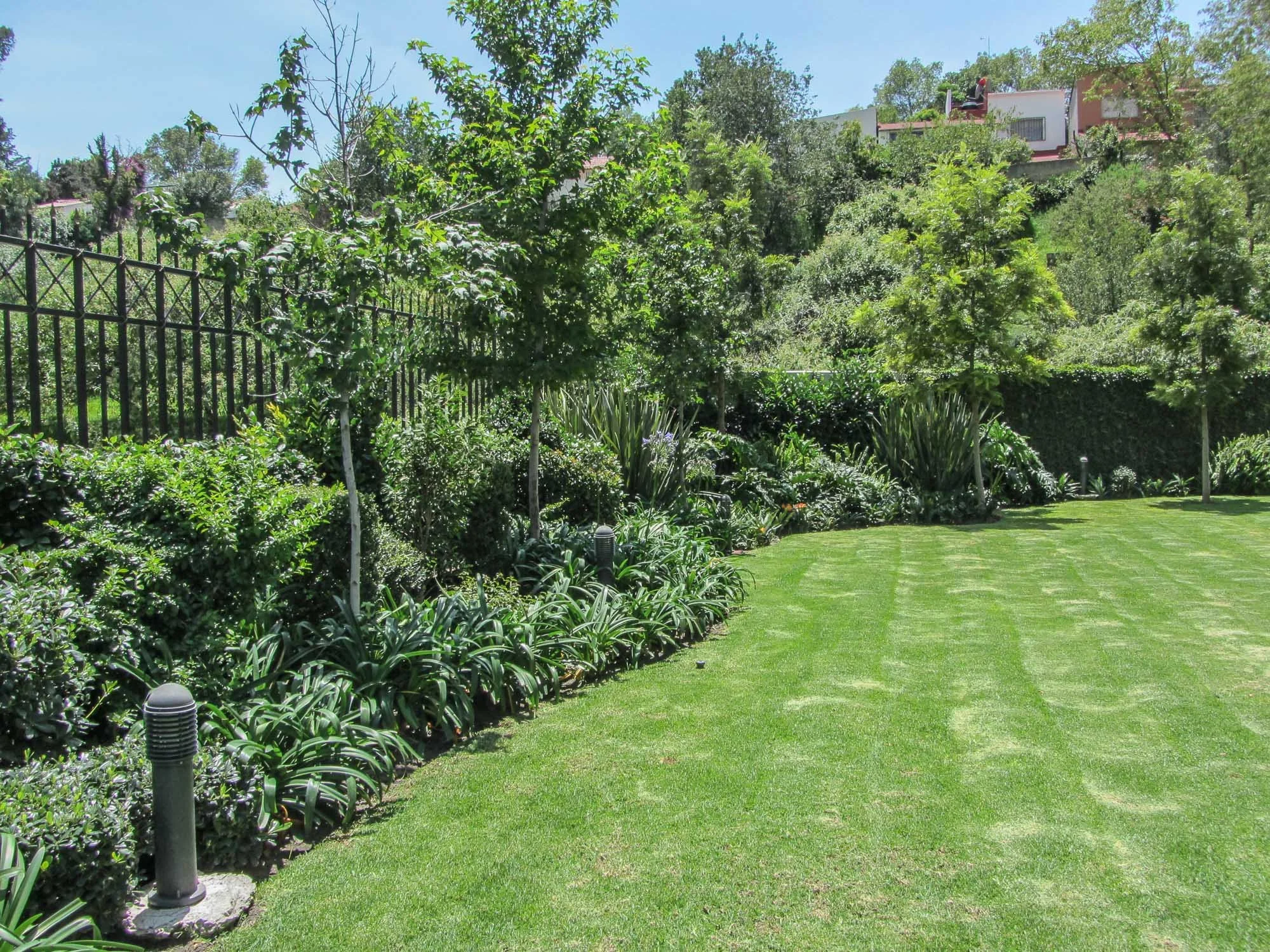 Bosque de lomas verdes-18.jpg