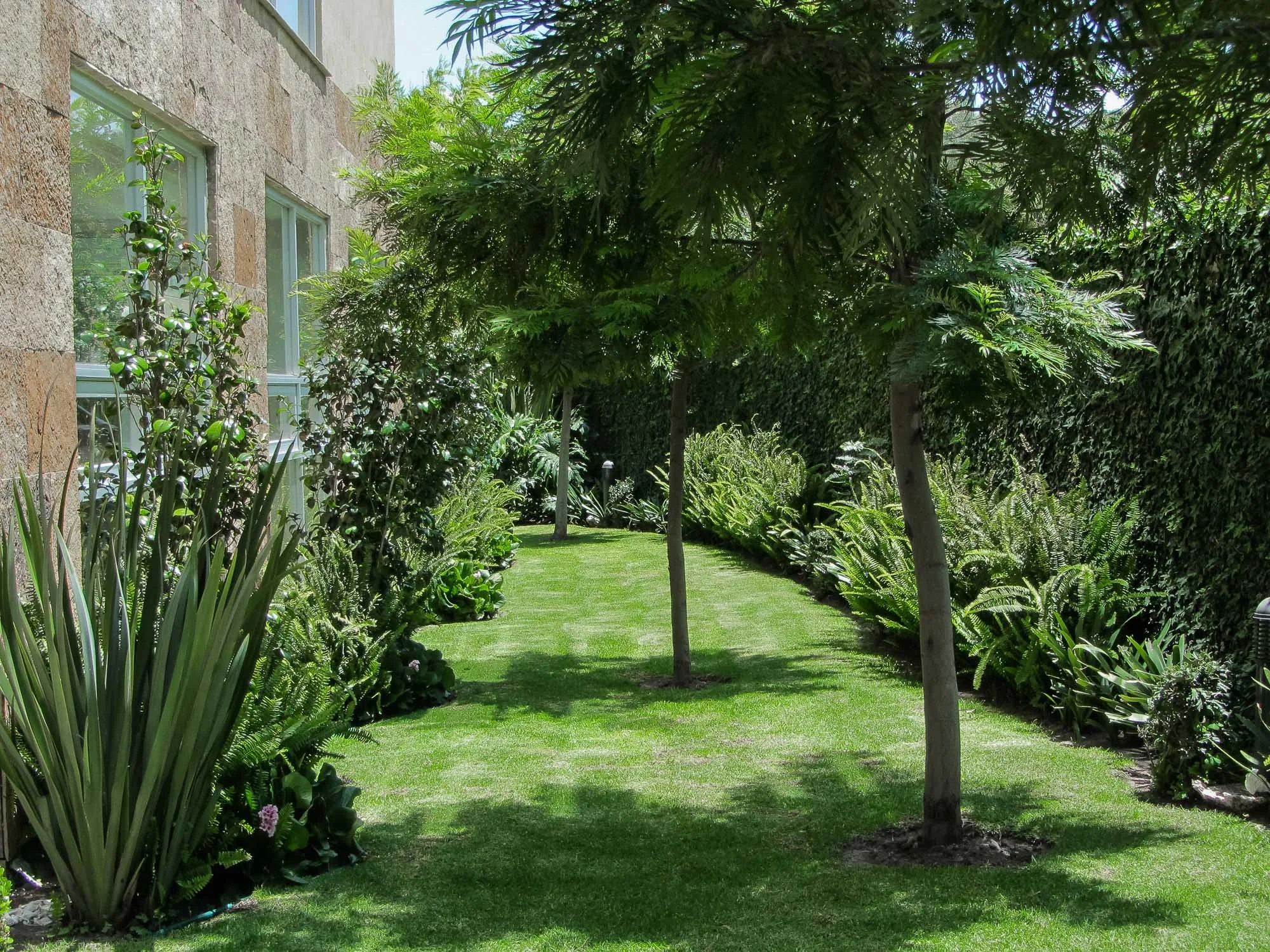 Bosque de lomas verdes-25.jpg