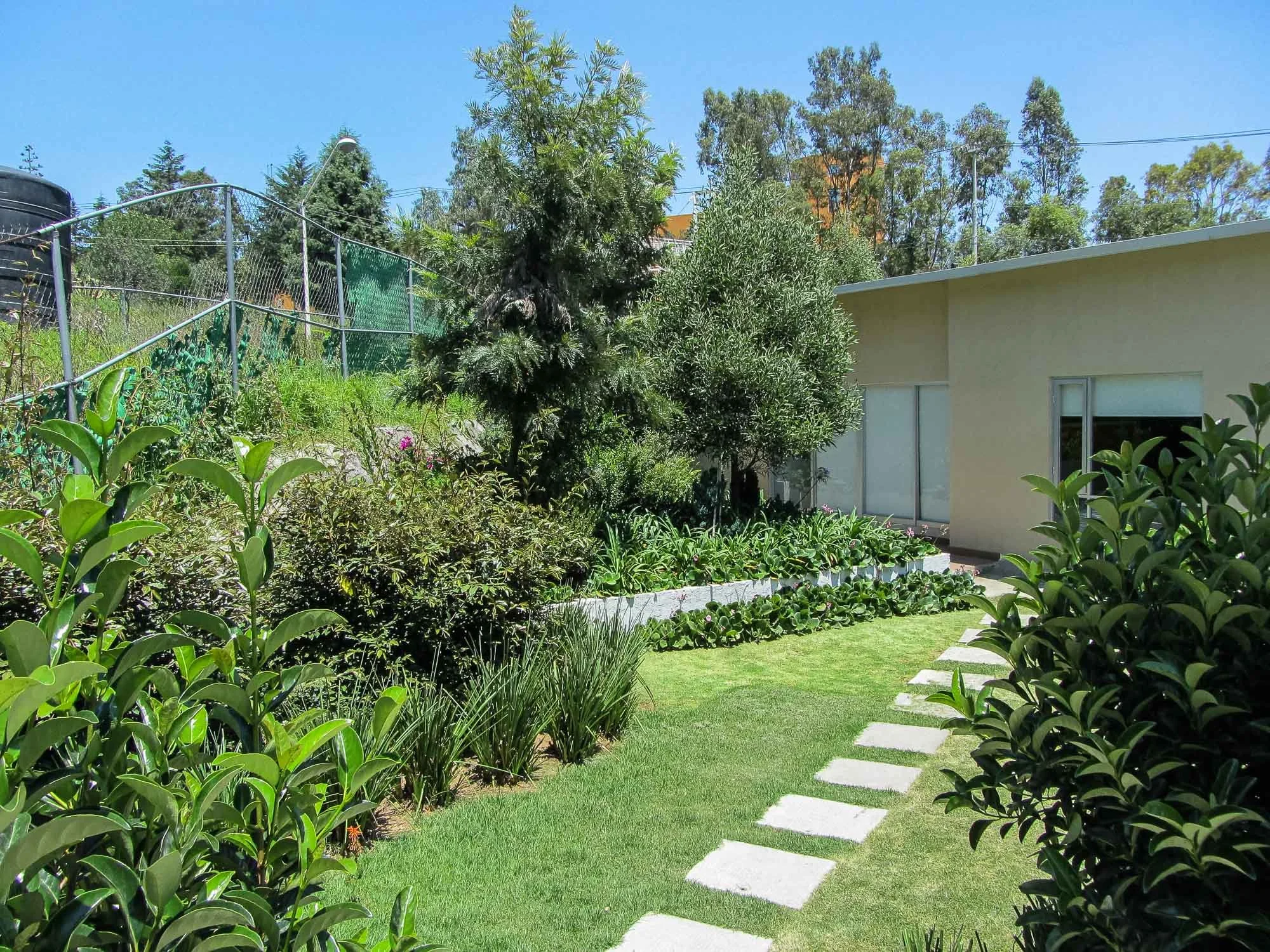 Bosque de lomas verdes-34.jpg