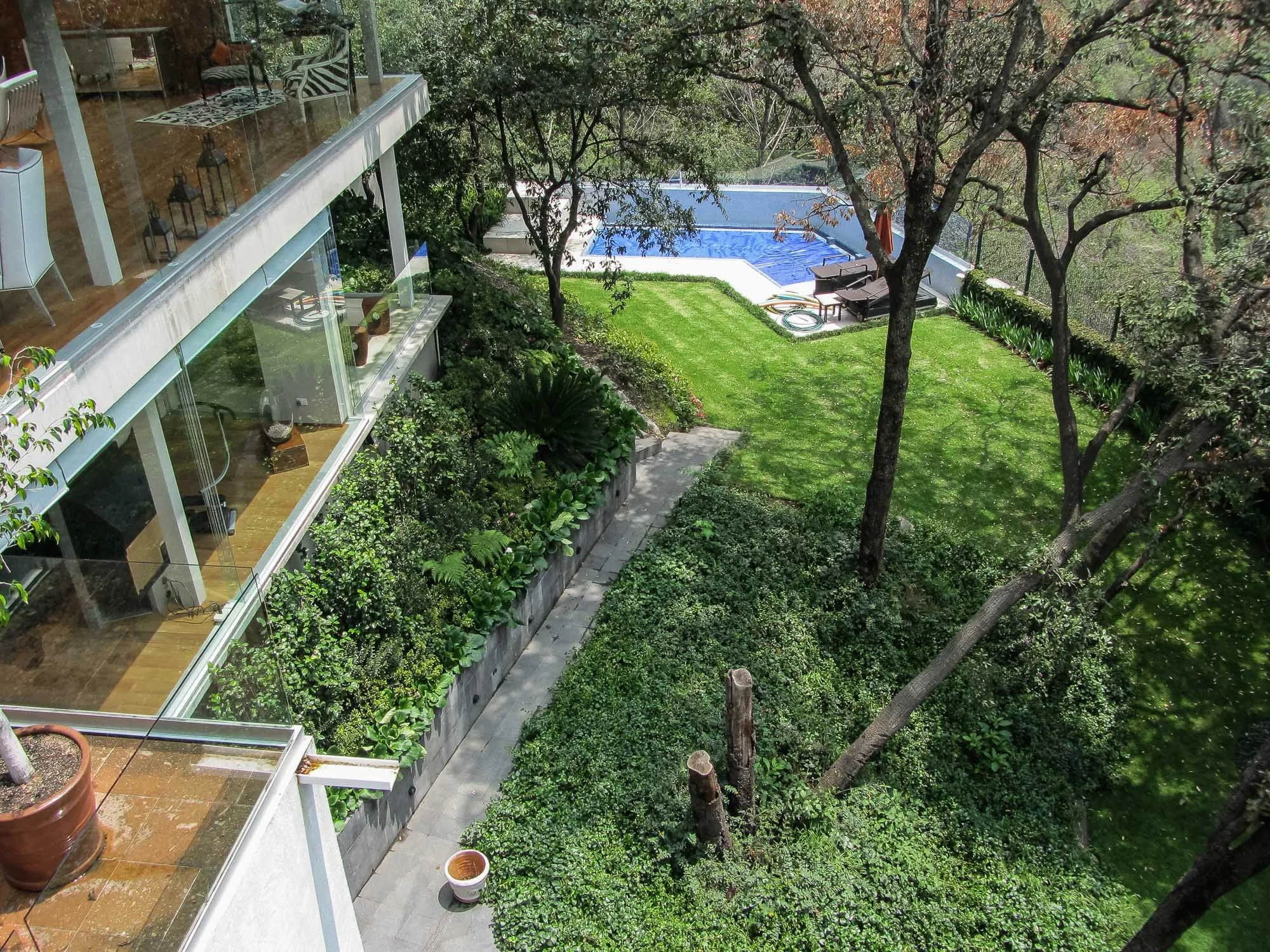 Ficus-33.jpg