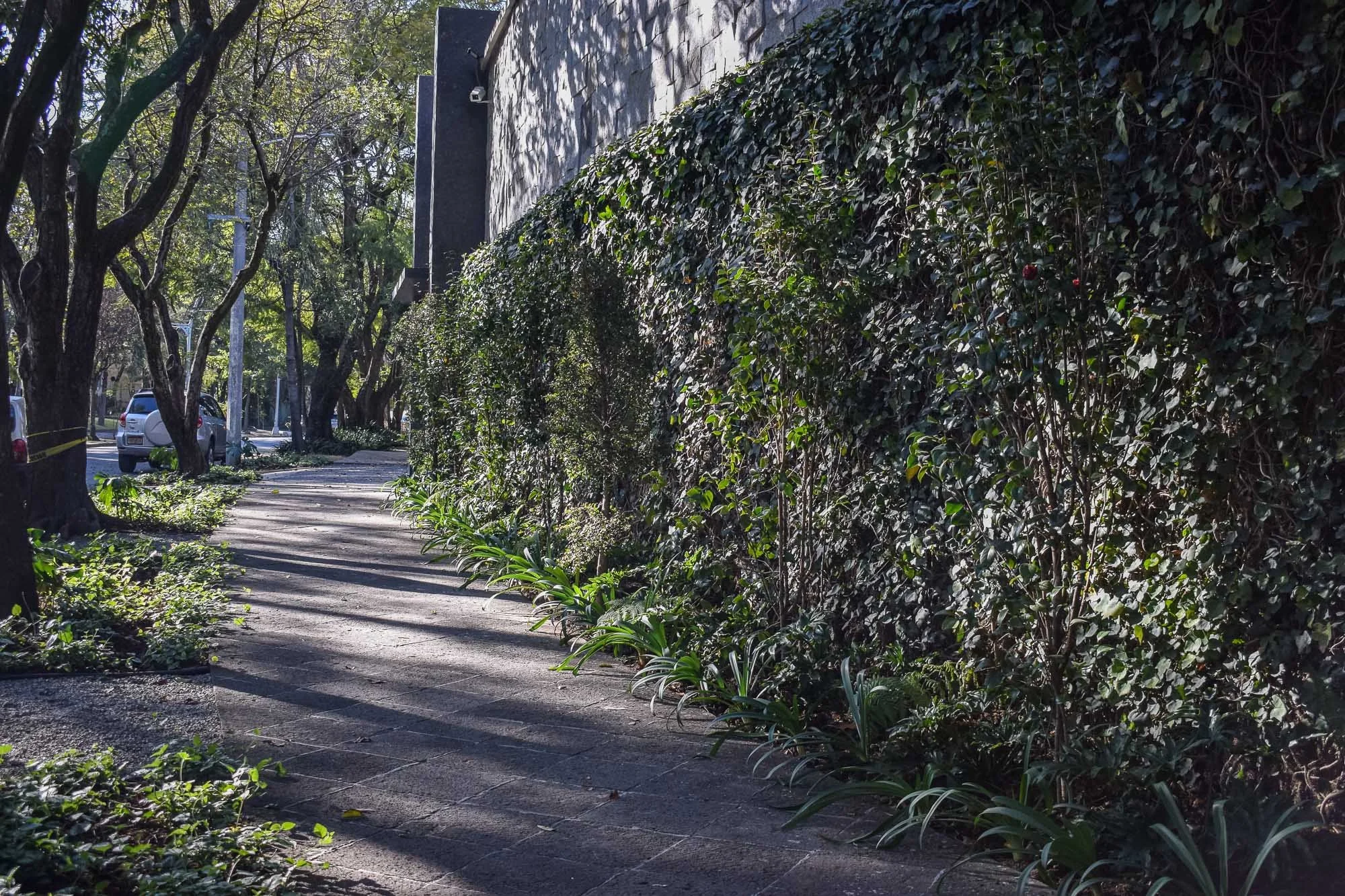 Parque reforma-2.jpg
