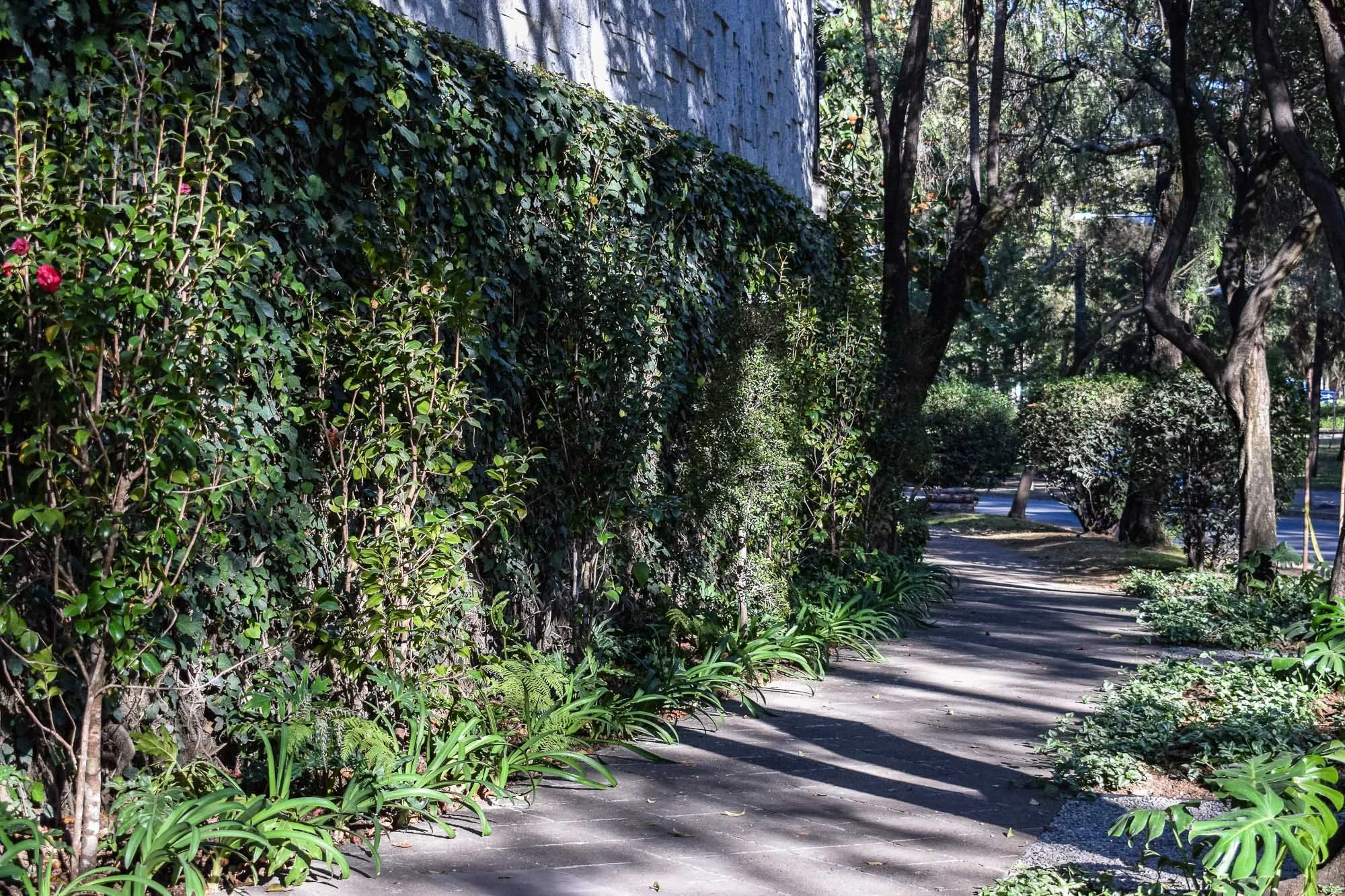 Parque reforma-6.jpg