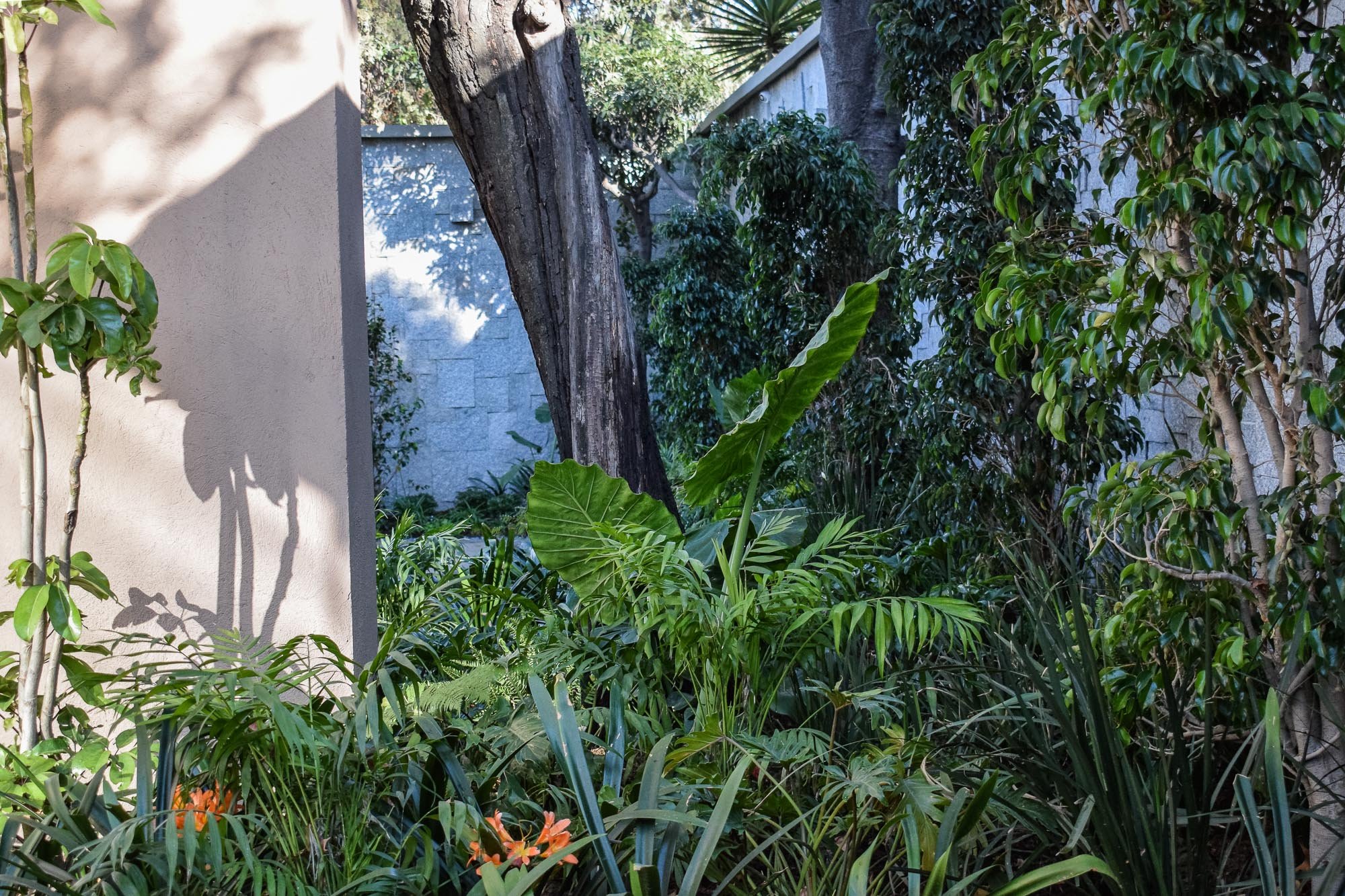 Parque reforma-31.jpg