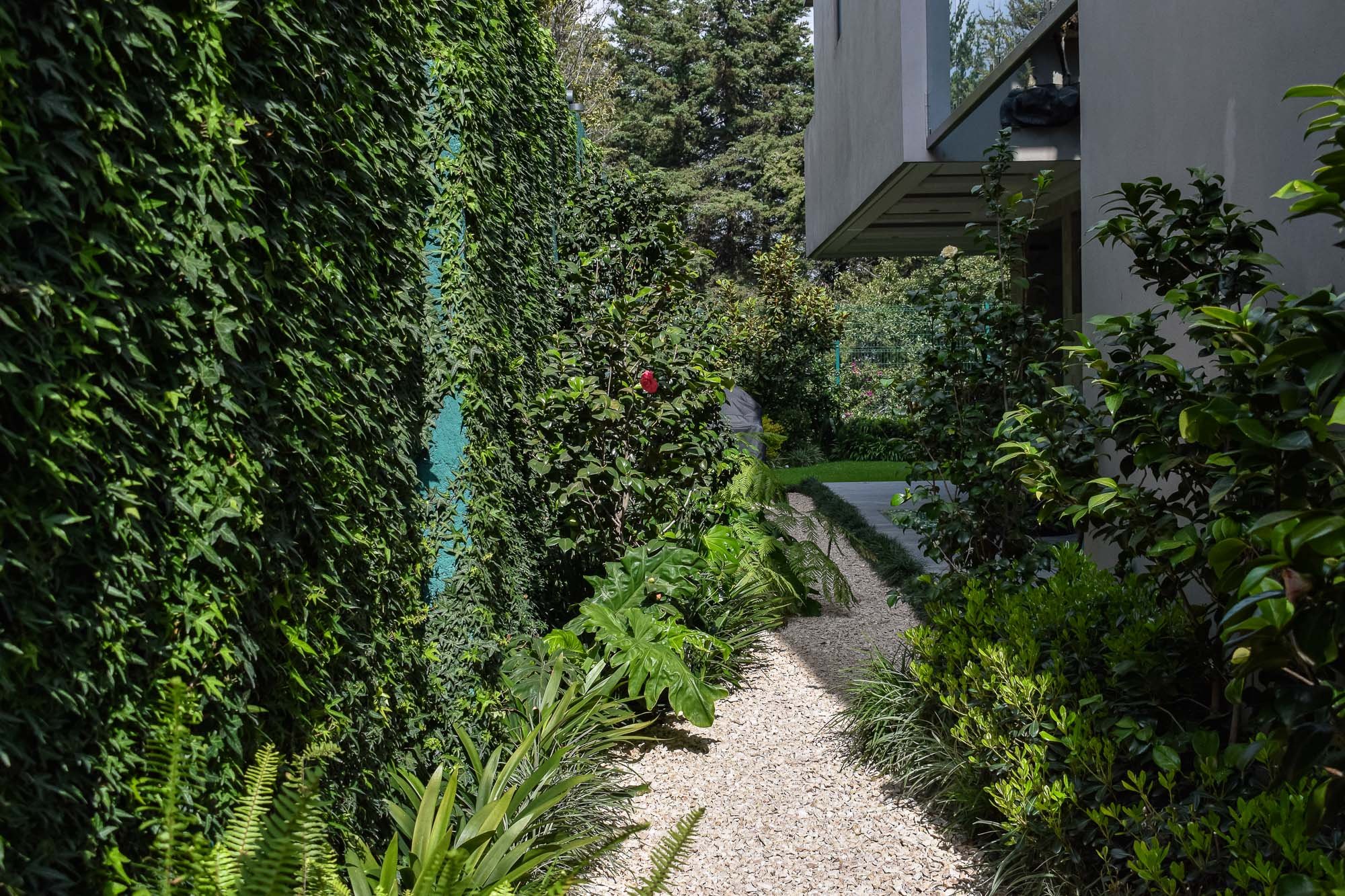 Bosque alto-11.jpg