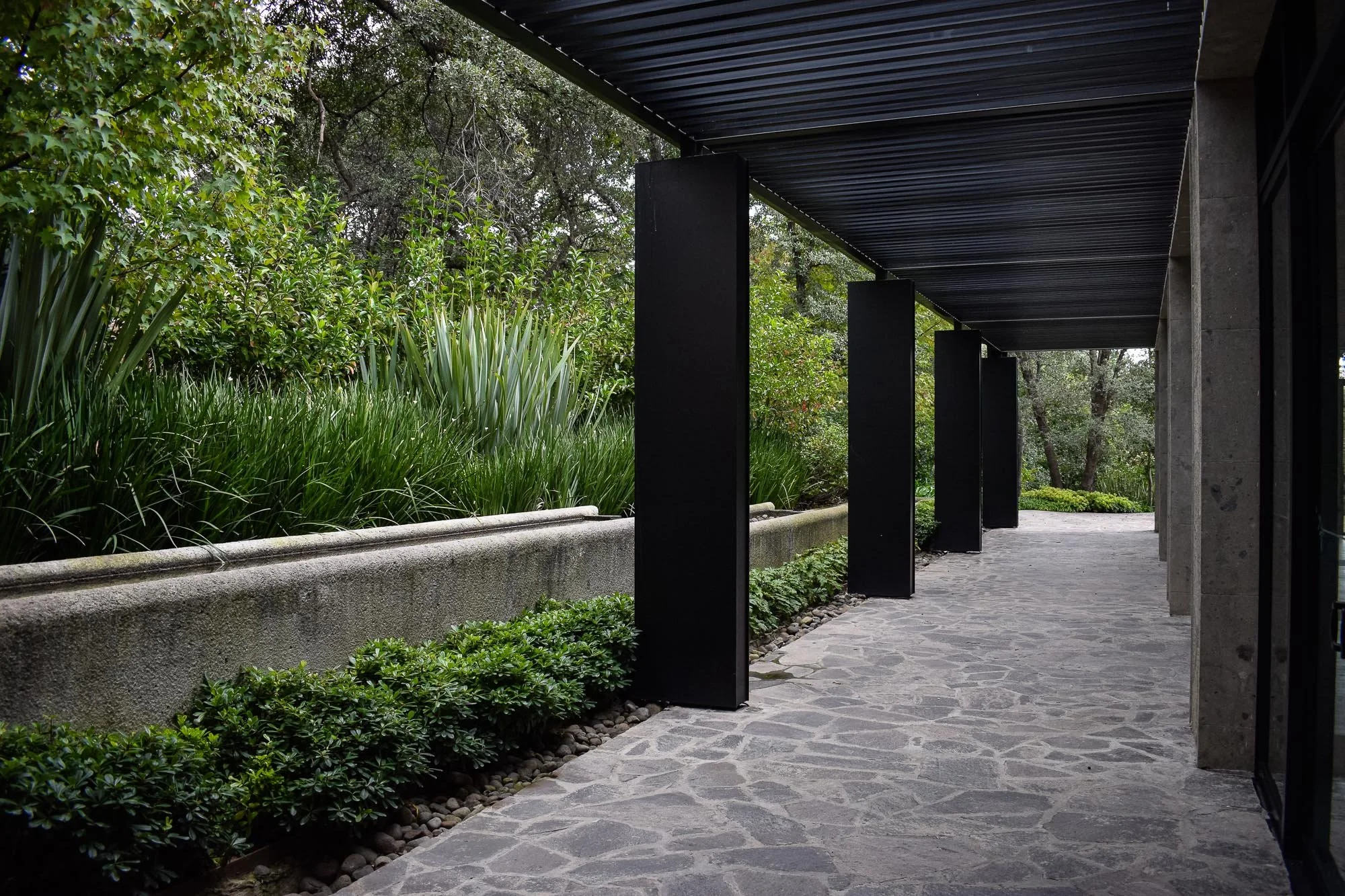 Rancho San Juan-2.jpg