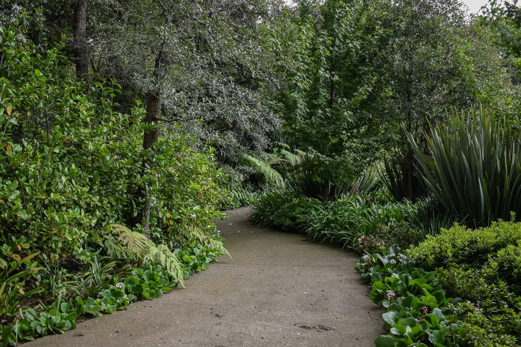 Rancho San Juan-28.jpg