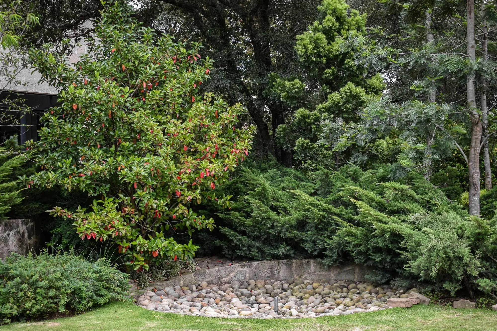 Rancho San Juan-50.jpg